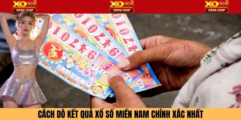Cách dò kết quả xổ số miền Nam Xo88 chính xác nhất