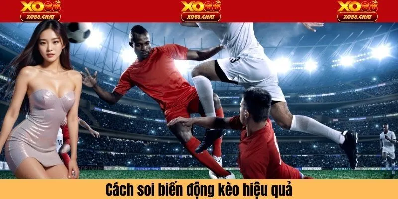 Cách soi biến động kèo hiểu quản