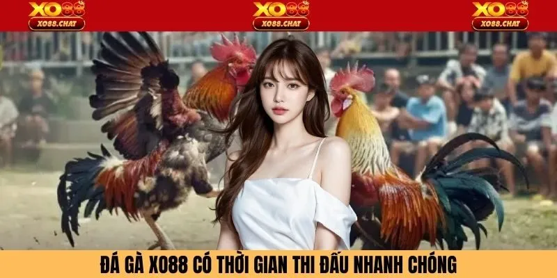 Đá gà XO88 có thời gian thi đấu nhanh chóng