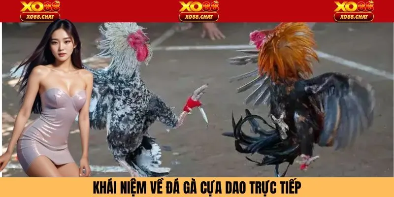 Định nghĩa đá gà cựa dao trực tiếp