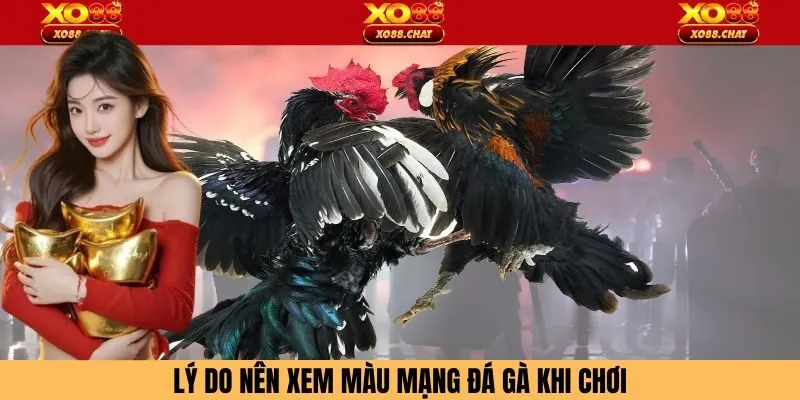 Lý do cần xem màu mạng đá gà