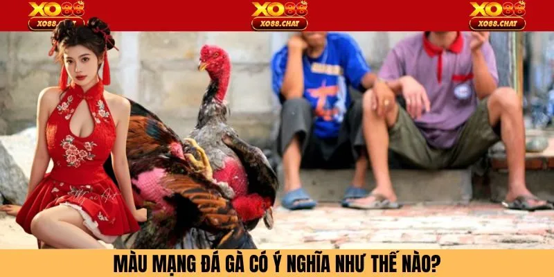 màu mạng đá gà