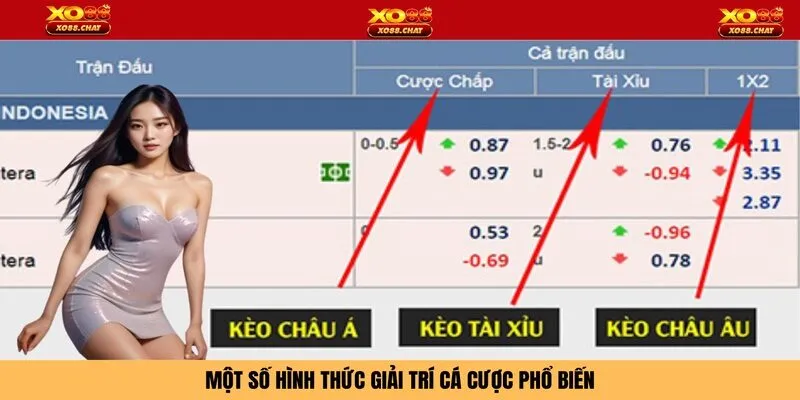 Một số hình thức giải trí cá cược phổ biến