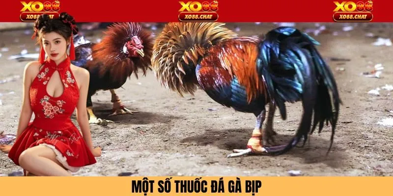 Liệt kê các loại thuốc đá gà bịp thịnh hành