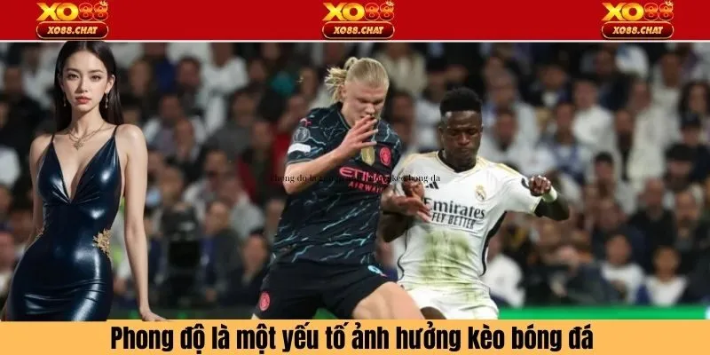 Phong độ và thành tích thi đấu gần đây nhất của đội bóng