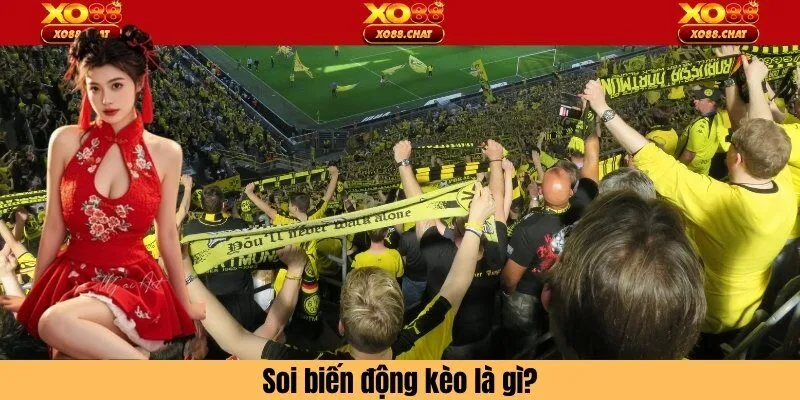 Soi biến động kèo là gì?