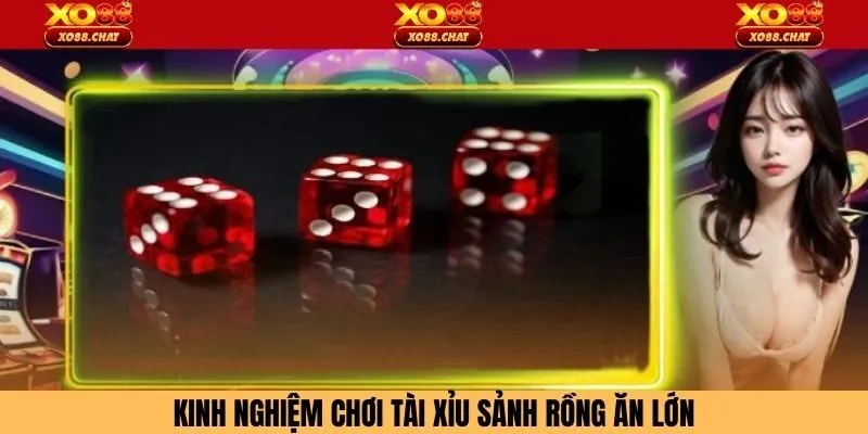 Kinh nghiệm chơi tài xỉu sảnh rồng ăn lớn