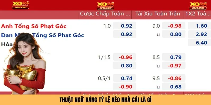 Thuật ngữ bảng tỷ lệ kèo nhà cái là gì