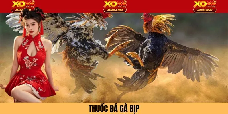 Thuốc Đá Gà Bịp