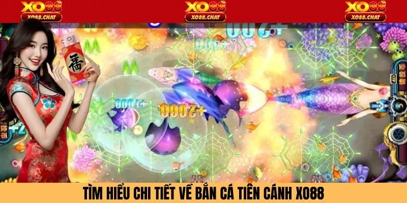 Tìm hiểu chi tiết về bắn cá tiên cánh Xo88