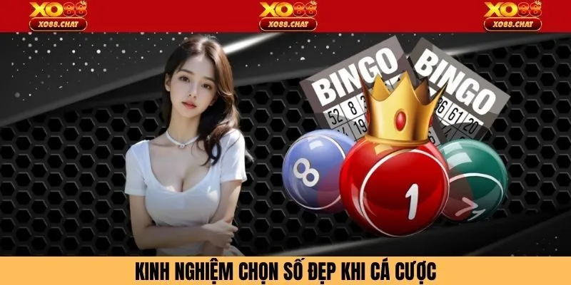 Kinh nghiệm chọn số đẹp khi cá cược