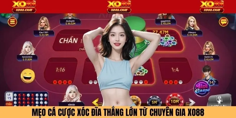 Mẹo cá cược xóc đĩa thắng lớn từ chuyên gia XO88